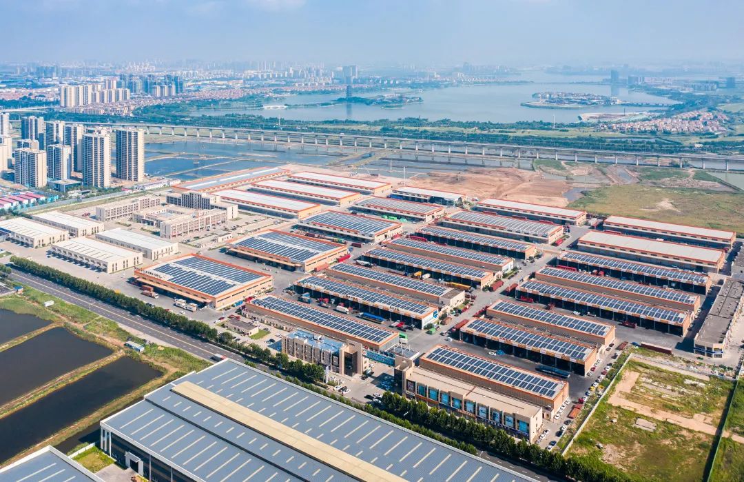 16558206657729165WsL.jpg 6.jpg