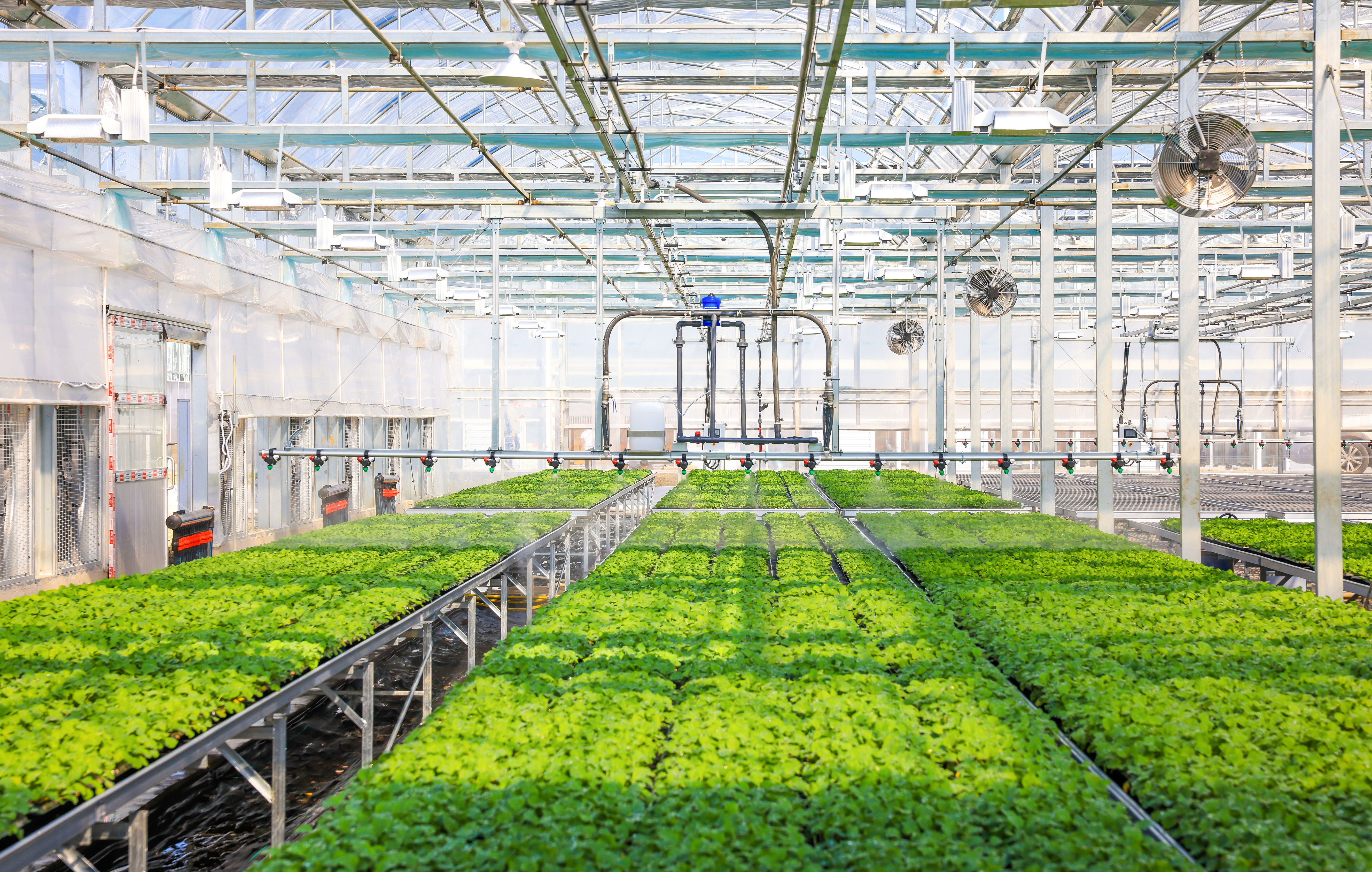 16998545104643851EDJ.jpg 3.jpg