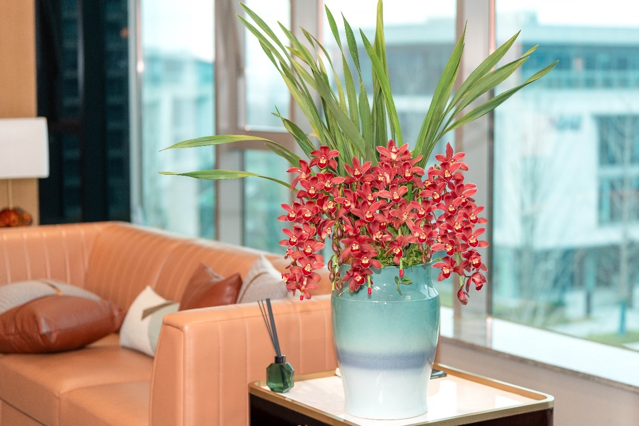 17053041552834264nRg.jpg 11.jpg