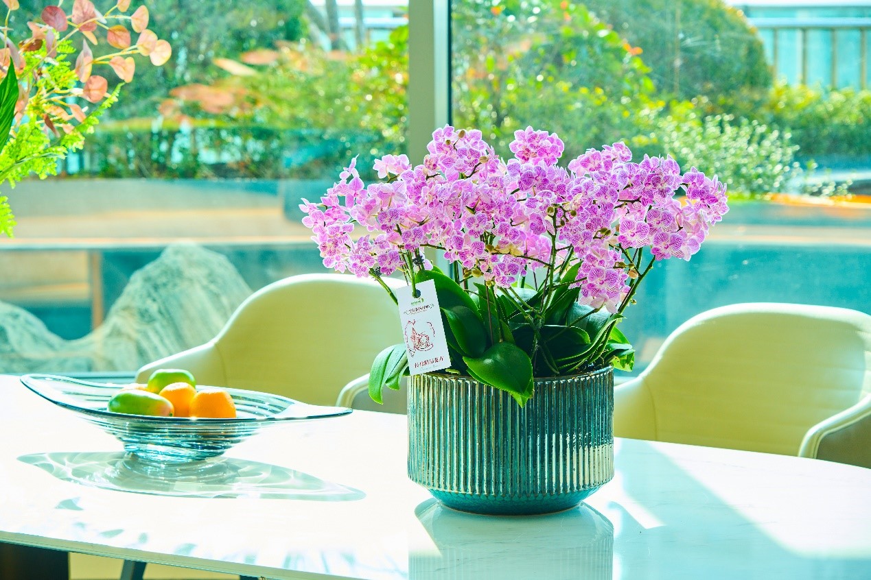 1705304186917367RDdg.jpg 13.jpg