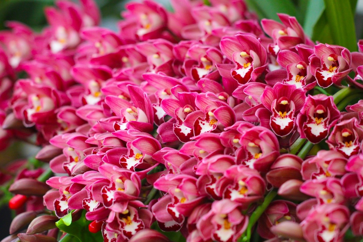 1705304195536465JfIM.jpg 14.jpg