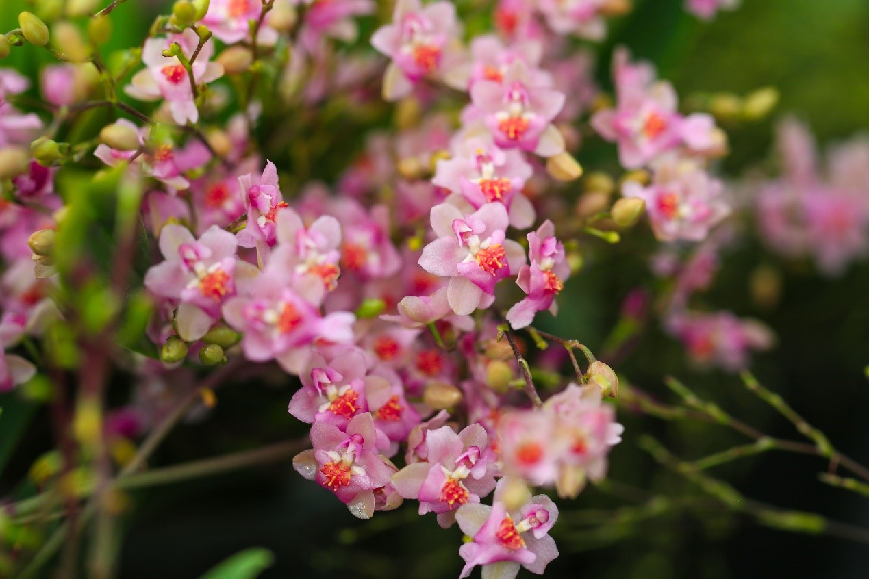 170530420826527849AI.jpg 16.jpg