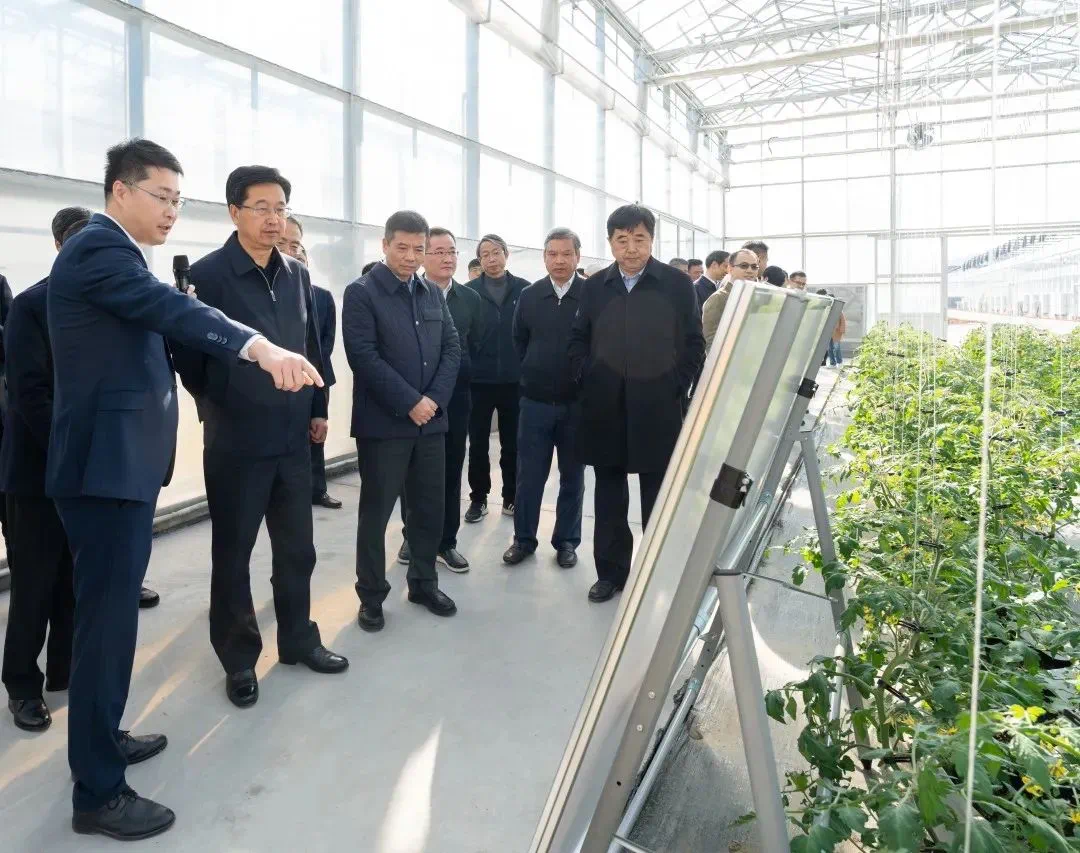 1705646141230679E0HO.png 3.png