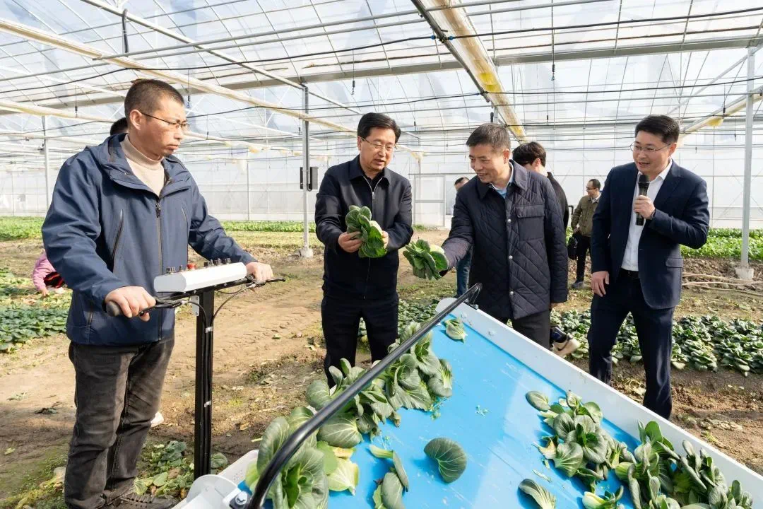 1705646149225793t6T8.png 4.png