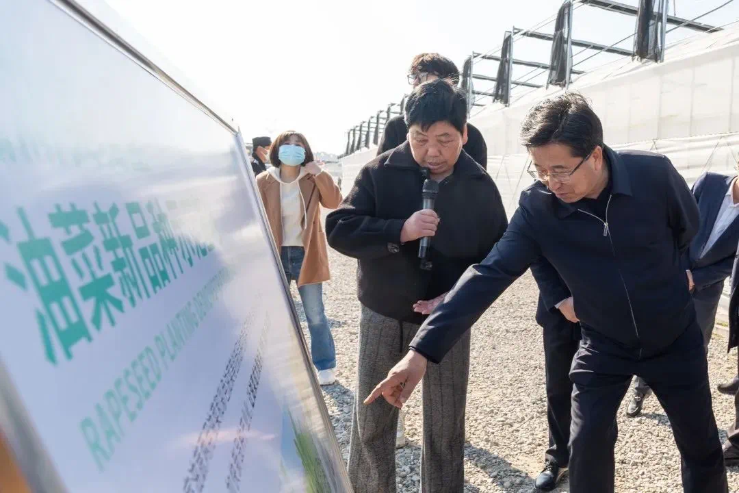 1705646159872074GETI.png 5.png