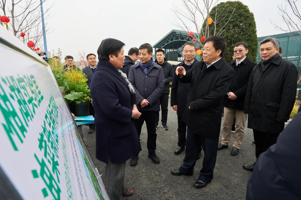 17090263736383745h81.jpg 6.jpg