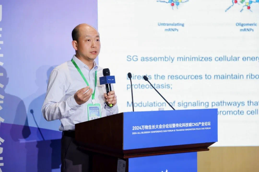 17141232139763925W5Y.jpg 8.jpg