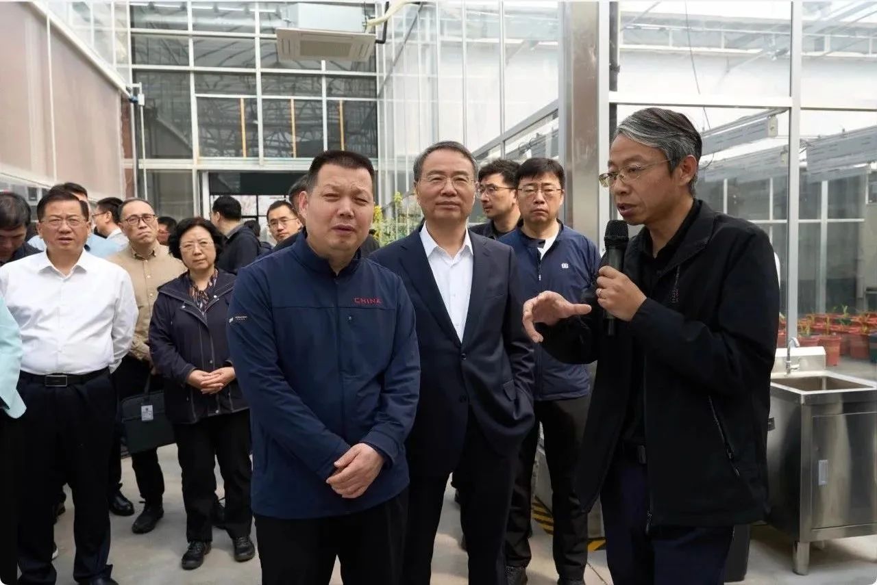 1743382180991881PkZb.jpeg 242bbb038e83cd1c10be930707cd06cd.jpeg