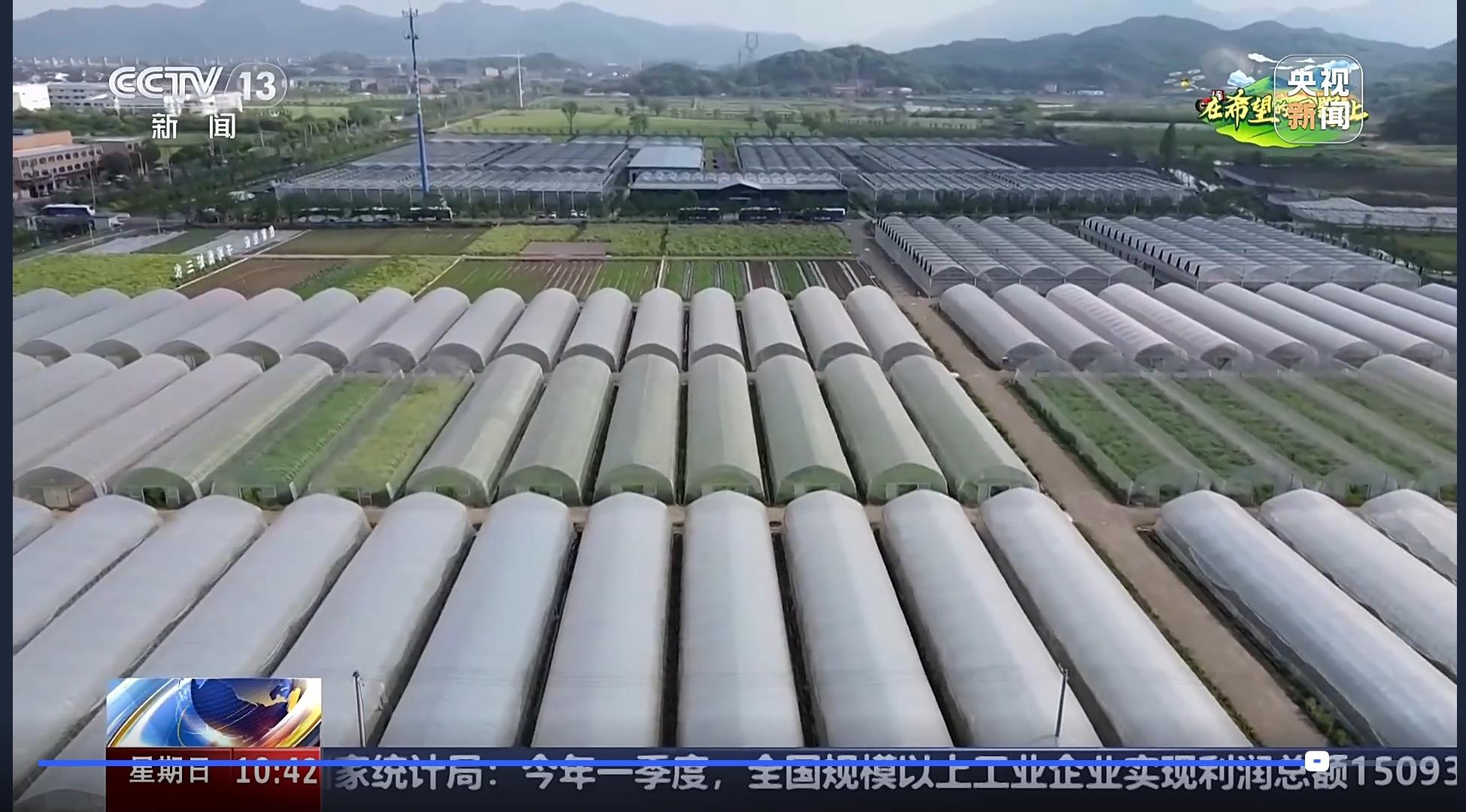 1745739739922272QGDP.jpg 農創村全景.jpg